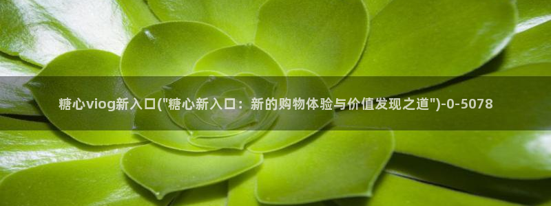糖心免：糖心viog新入口(\