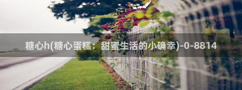 糖心.c：糖心h(糖心蛋糕：甜蜜生活的小确幸)