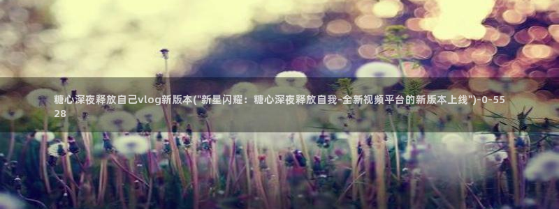 糖心viog免费版：糖心深夜释放自己vlog新版本(\