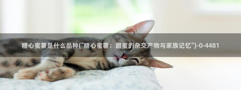 尤里辛糖心：糖心蜜薯是什么品种(\