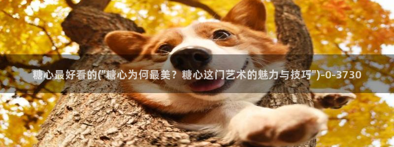 糖心论坛