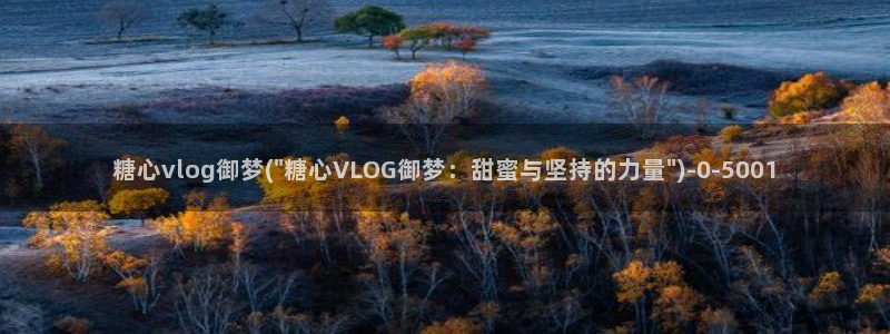 糖心高清