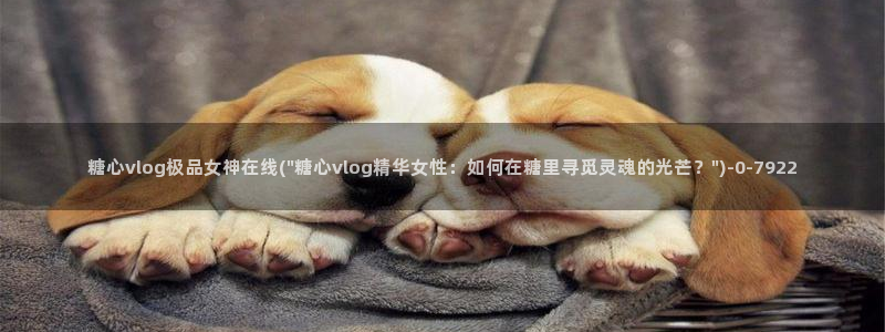 糖心vlgo爱液