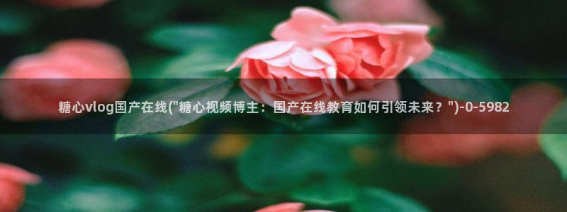 糖心主页