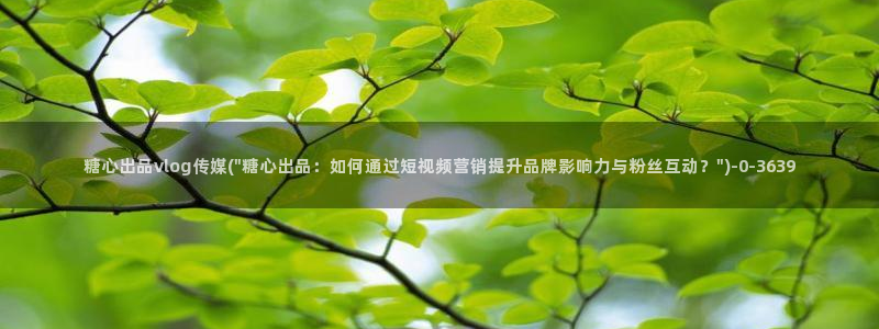 糖心vlgo精品一区二区